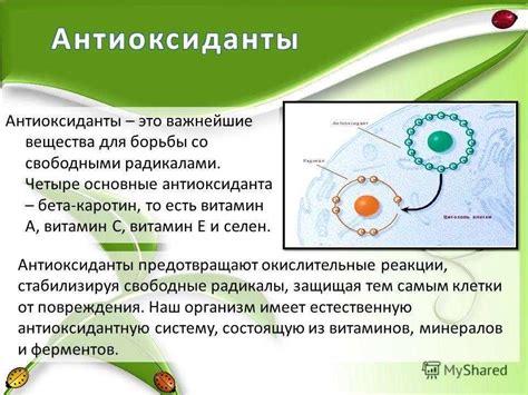 Антиоксиданты и их влияние на активность защитных механизмов организма