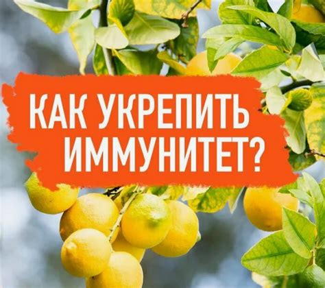 Апельсиново-золотистый рецепт для укрепления иммунитета