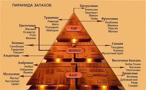 Ароматические ноты: скрытые составляющие их привлекательности