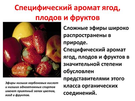 Аромат ягод и фруктов, свежесть воды и бодрящий морской бриз