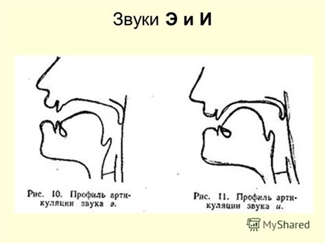 Артикуляционные характеристики