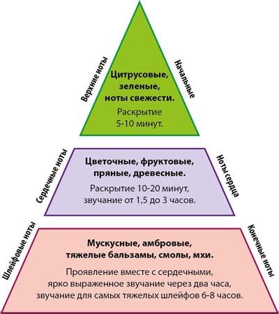 Балансировка аромата: гармония верхних, средних и базовых нот