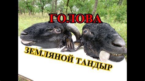 Бараньи щи с головой барана