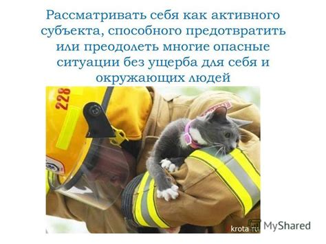 Безопасность: как предотвратить опасные ситуации для котенка