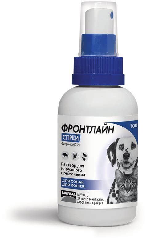 Безопасные способы остановки блох на котятках: средства и приемы