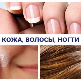 Белковое питание и его воздействие на красоту ногтей