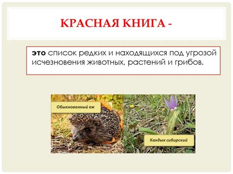 Бережное отношение к файлам из сети: проверьте перед загрузкой