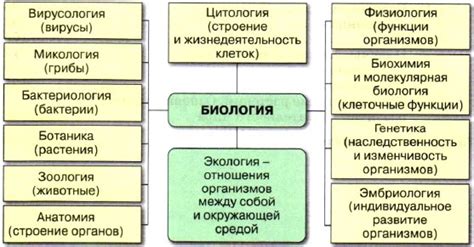 Биологическая составляющая в поддержании непреодолимого воспоминания
