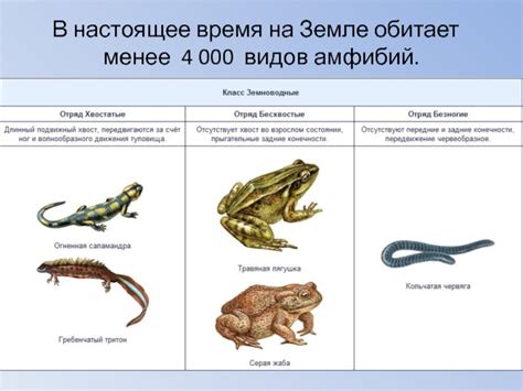 Биологические методы контроля популяции амфибий на территории садового участка