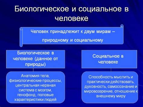 Биологические подходы к решению проблемы короеда в жилом помещении