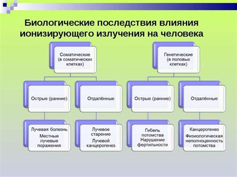 Биологическое действие эндорфинов: механизмы и эффекты