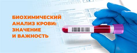 Биохимический анализ крови и тканей: методы и роль в патоморфологической диагностике 