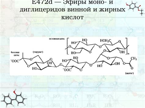 Биохимический механизм распада моно и диглицеридов в организме