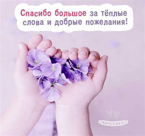 Благодарность и вера: Искренняя благодарность за все, что мне жизнь дарит