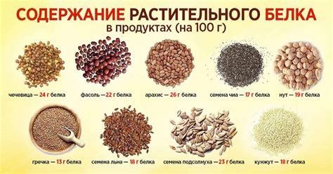 Бобовые и растительные белки: необходимые составляющие глутатиона