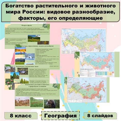 Богатство животного и растительного мира и его значимость для окружающей среды