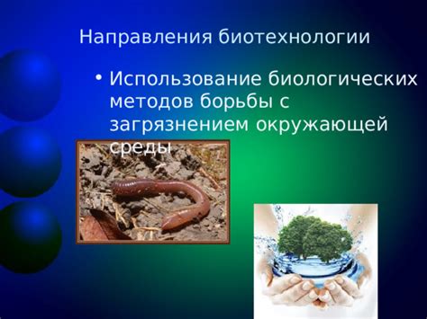Борьба с проволочником: использование биологических методов