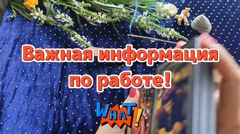 Важная информация, которую нужно учесть перед получением средств