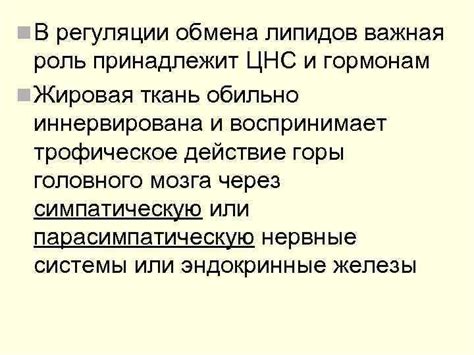 Важная роль липидов в жизнедеятельности организмов