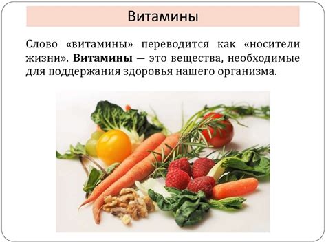 Важное значение правильного питания для установления гармонии среди кошек