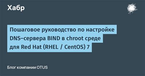 Важность анализа функционирования DNS-сервера в доменной среде