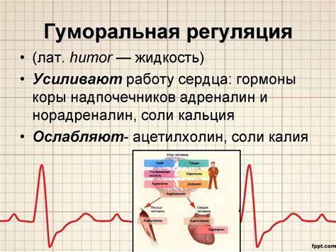 Важность верхнего давления в оценке работы сердца и сосудов