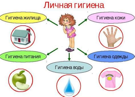 Важность гигиены и чистоты в борьбе с глистными инфекциями