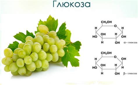 Важность глюкозы для организма