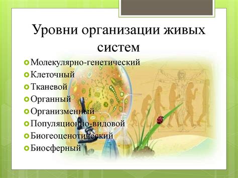 Важность изучения живой природы для современного человека
