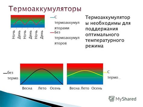 Важность оптимального температурного режима для эсхинантуса