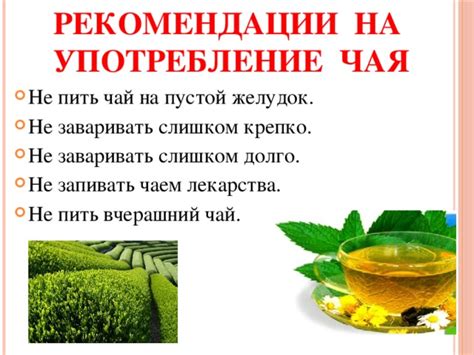 Важность осознания положительного влияния чая на организм