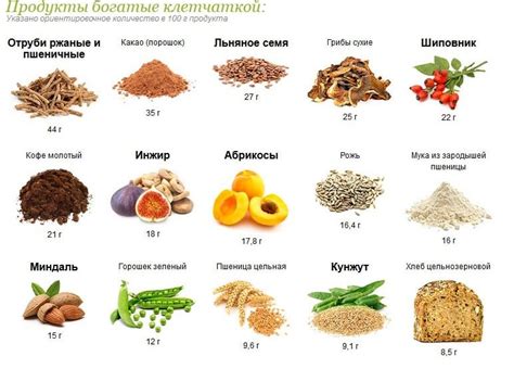 Важность пищевых продуктов, обогащенных клетчаткой и белками, в борьбе с животиком