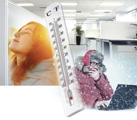 Важность поддержания терморегуляции для организма представителя фелидей