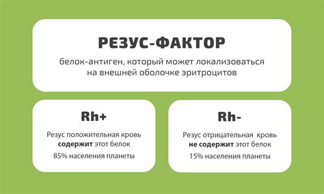 Важность раннего выявления резус-фактора во время периода беременности
