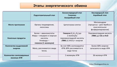 Важность регулярной физической активности для активации фермента энергетического обмена