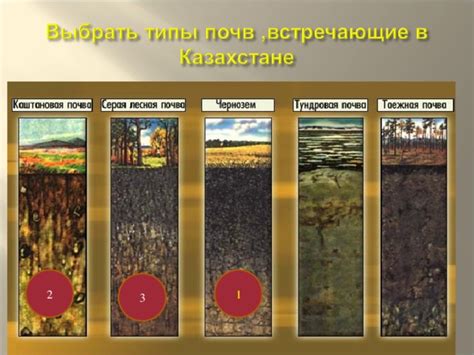 Важность систематического орошения, подбор питательных добавок и контроль над плодородием почвы