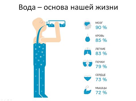 Важность увлажнения организма: роль воды в утолении голода