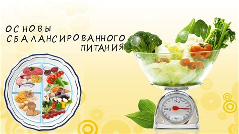Важность умеренности: основы сбалансированного питания