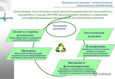 Важность экологических аспектов в функционировании организации