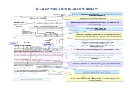 Важные аспекты для учета при настройке экипировки для игрового процесса в Короле и Шут