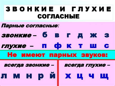 Важные нюансы в артикуляции звонких и глухих согласных