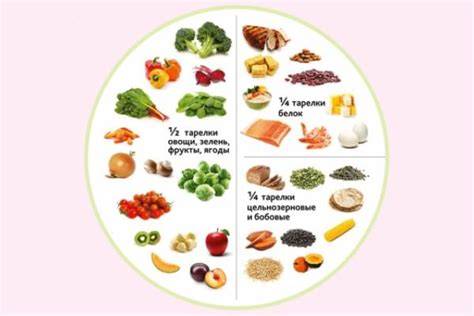 Варианты гомогенизированного питания