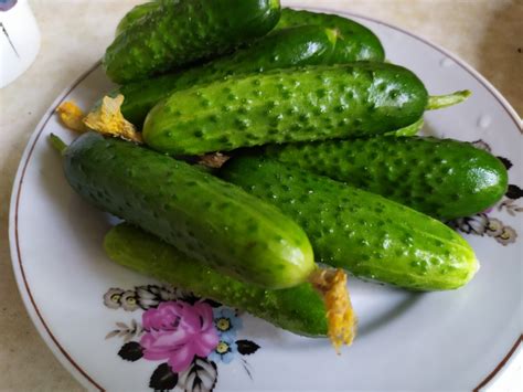 Варианты смягчения привкуса горечи в уже маринованных огурцах