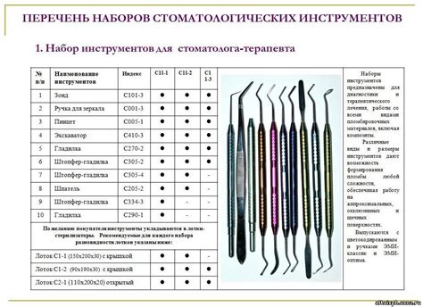 Вводные предметы, необходимые для освоения основ протезирования и ортодонтии