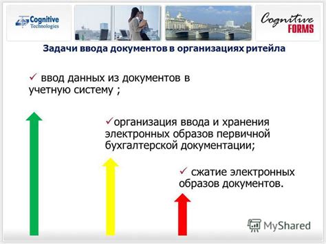 Ввод данных и настройка бухгалтерской документации