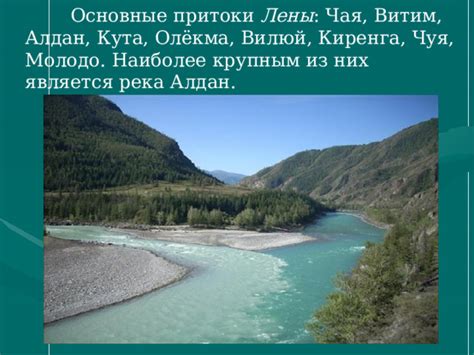 Великая Сибирская река - идеальное место для путешествия медведя