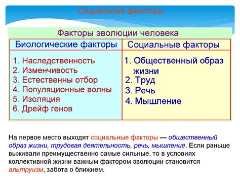 Взаимодействие биологических и социальных аспектов в формировании индивидуальности