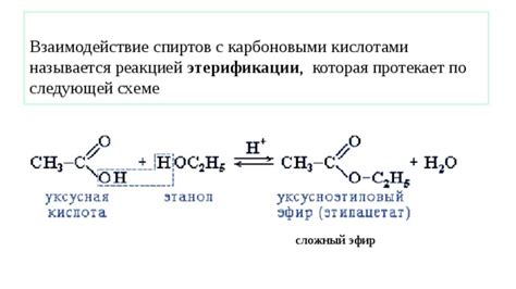 Взаимодействие оксидов с карбоновыми кислотами: уникальный взгляд на процесс