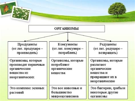 Взаимодействие организмов в биологических сообществах