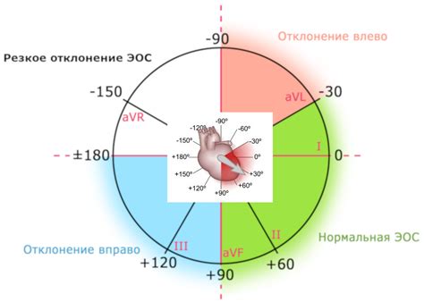 Взаимосвязь горизонтального положения центра электрической оси и функционирования сердца